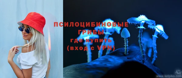 амф Алексеевка