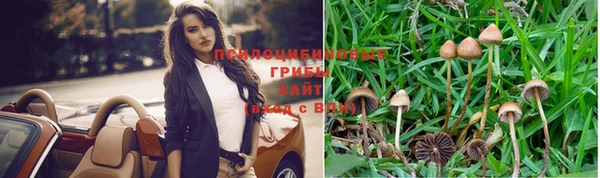 соль ск Алексин