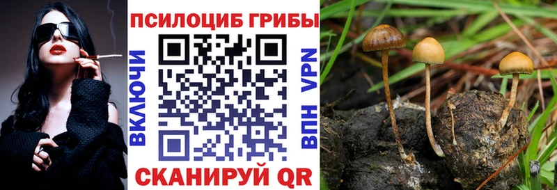 цены наркотик  Бийск  Галлюциногенные грибы MAGIC MUSHROOMS 